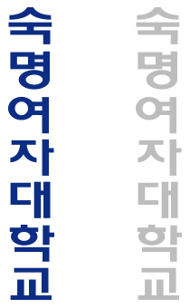 국문 세로 로고타입